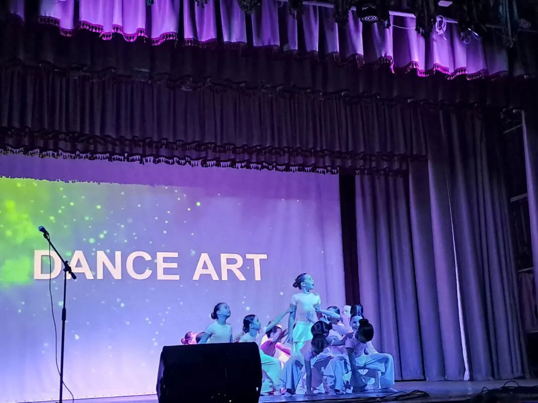 Школа «Dance art» зібрала 50 тисяч гривень для ЗСУ на дебютному концерті