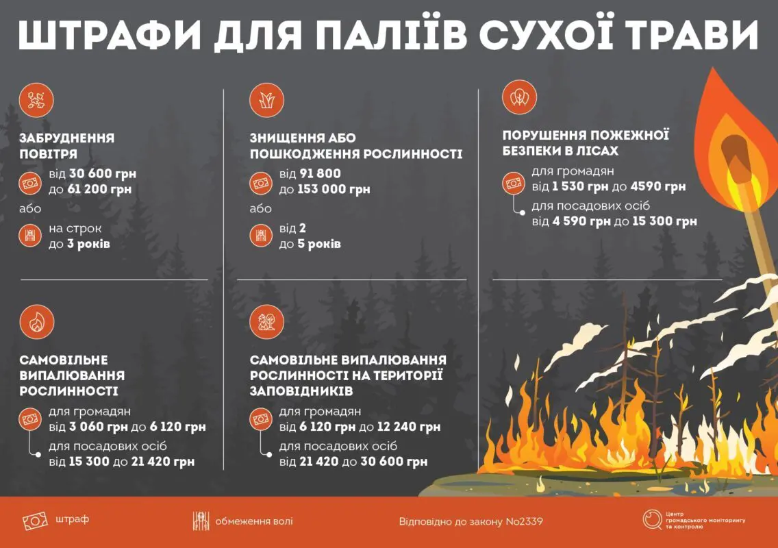 На Ковельщині з початку року зафіксовано 172 пожежі в екосистемах: причини та штрафи
