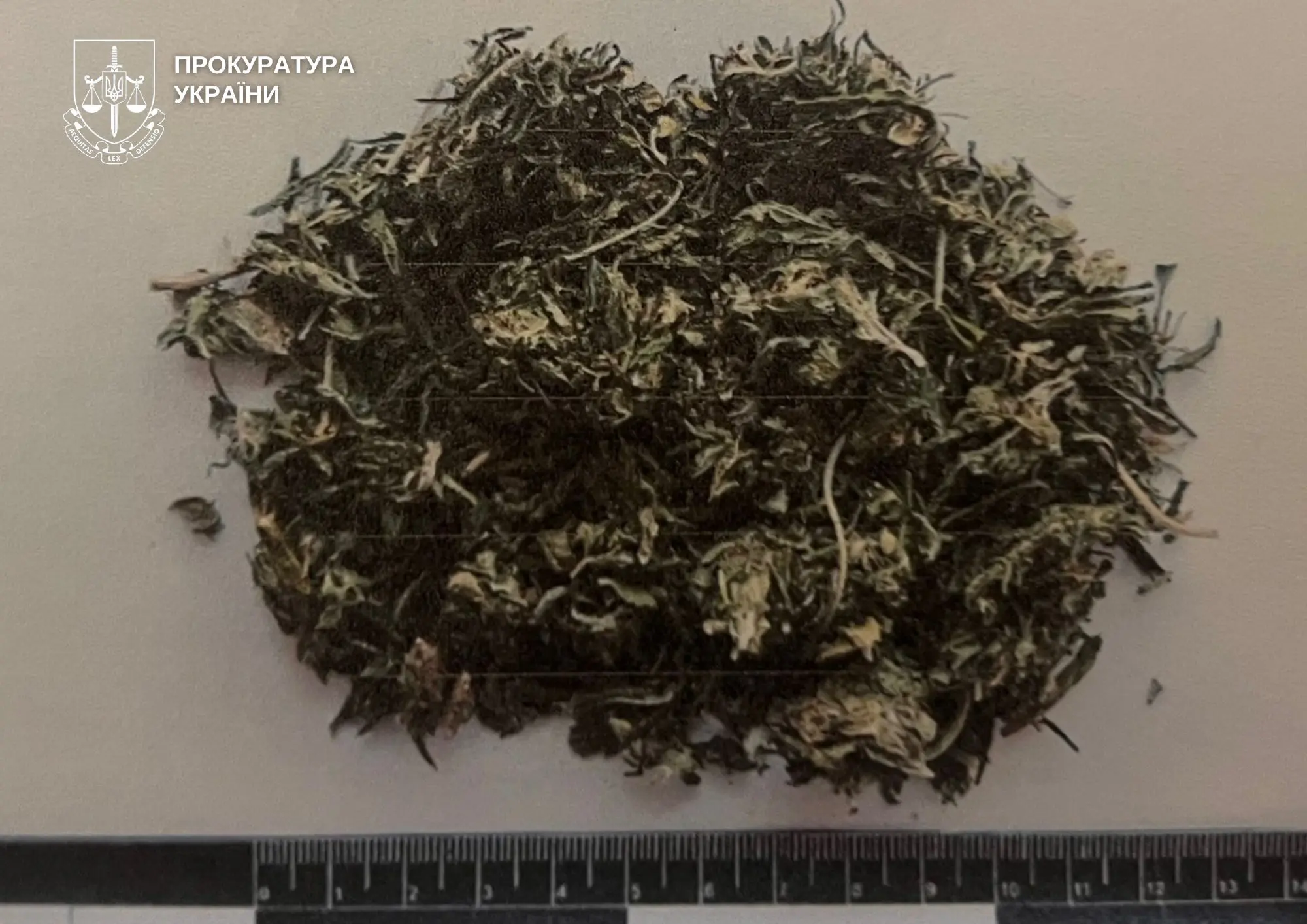 У Ковелі судитимуть чоловіка за збут канабісу та зброю