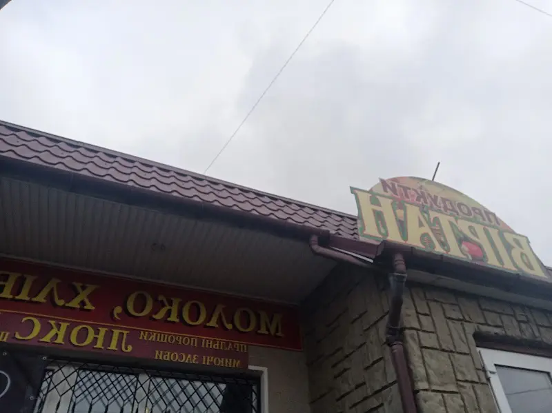 ВІРТАН, МАГАЗИН, ТУДРІЙ ЮРІЙ ГЕОРГІЙОВИЧ, ПП — фото 3