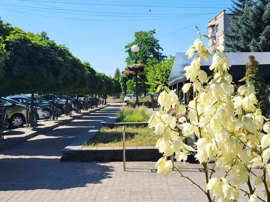 Ковель святкує День міста: вдячність захисникам та тепла атмосфера