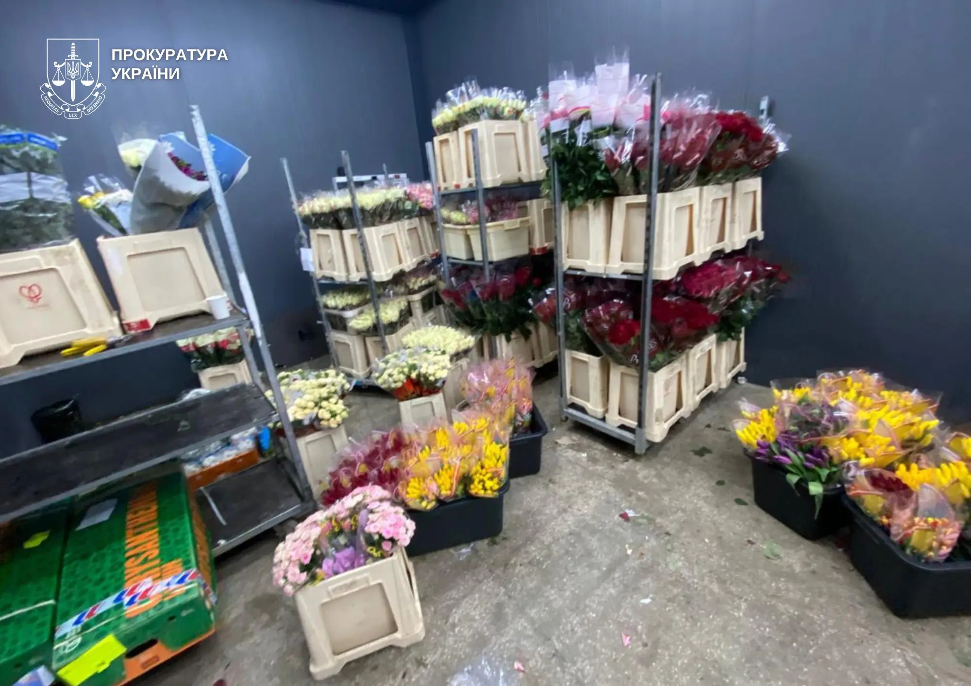На Волині керівник фірми відшкодував 10,6 млн грн податків після викриття