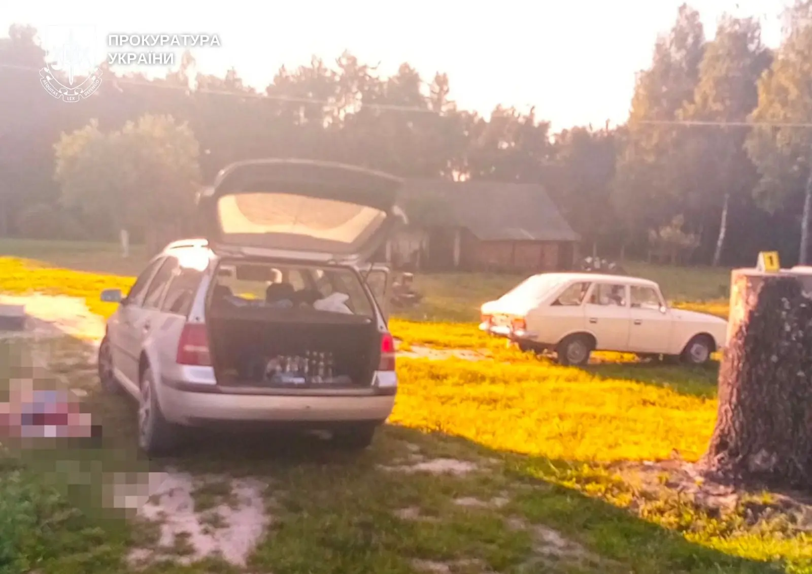 Мешканця Поліського засудили до довічного за жорстоке подвійне вбивство